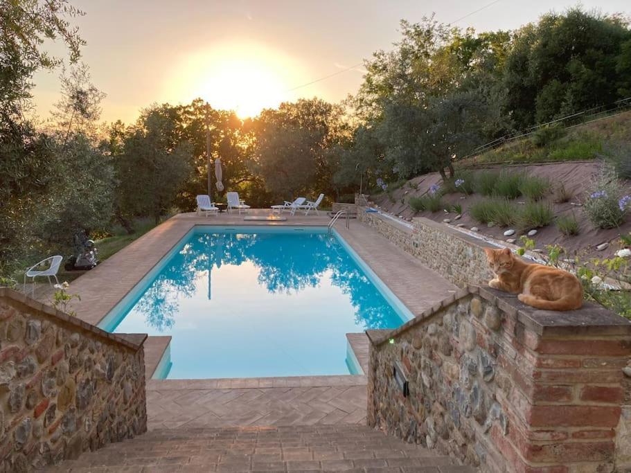Vesper - Casale Con Piscina - Ad Galli Cantum ชิตตา เดลลา ปีเอเว ภายนอก รูปภาพ