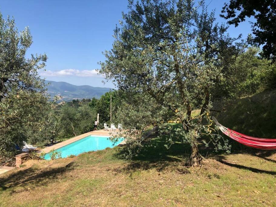 Vesper - Casale Con Piscina - Ad Galli Cantum ชิตตา เดลลา ปีเอเว ภายนอก รูปภาพ